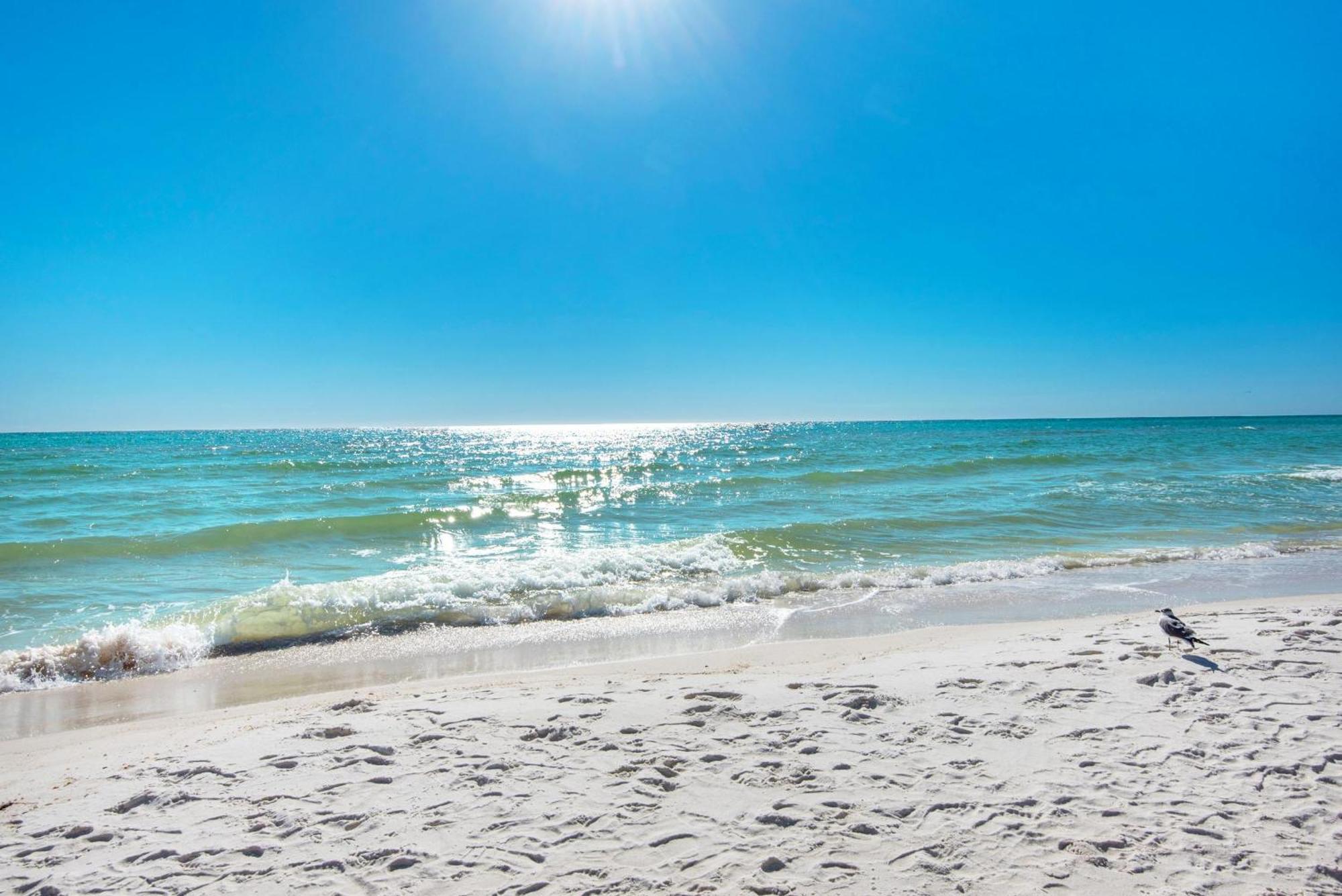 Shores Of Panama 1816 Panama City Beach Eksteriør billede